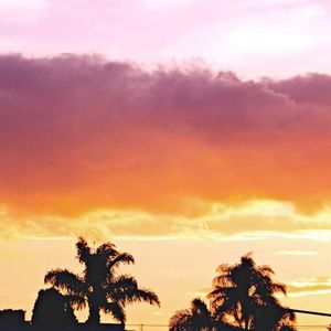 Meet your Posher, Giz